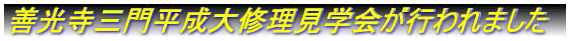 PO啽Cws܂